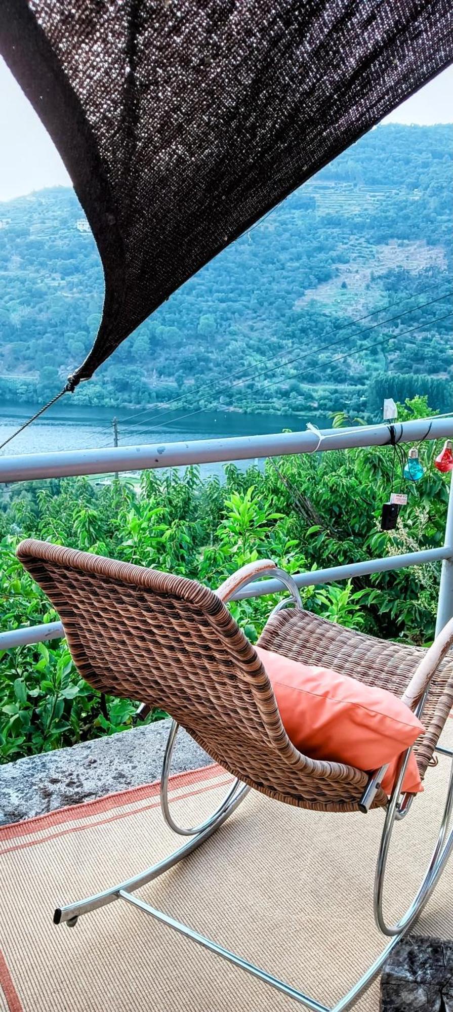Douro Balcony Villa Resende Luaran gambar