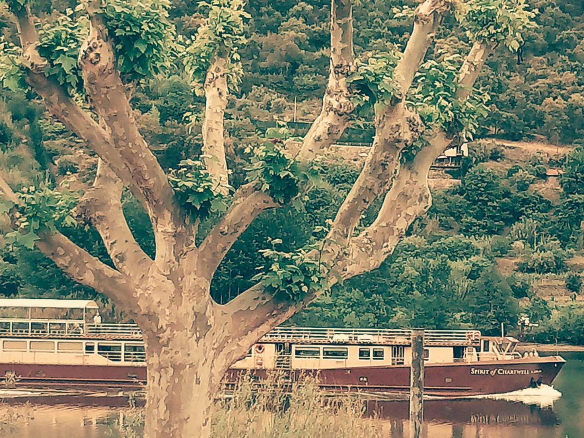 Douro Balcony Villa Resende Luaran gambar