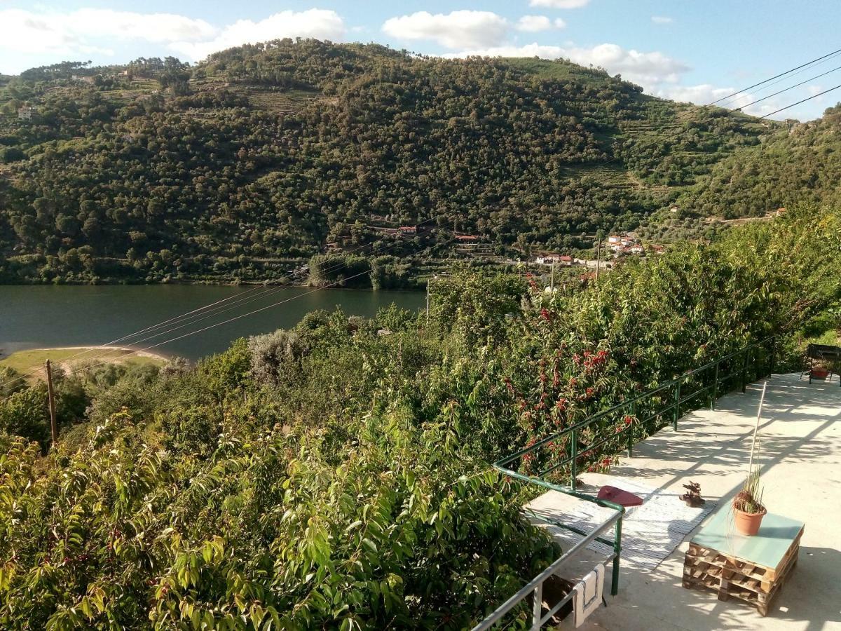 Douro Balcony Villa Resende Luaran gambar